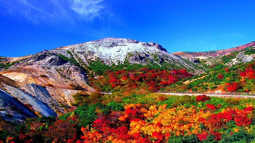 Gunung: Pemandangan Jalan Pagar Gunung Musim Gugur Pegunungan Rocky 16:9 Definisi Tinggi 900p . Penanda alam, Lanskap penuh warna, Pegunungan, Rocky Mountain Fall Wallpaper HD