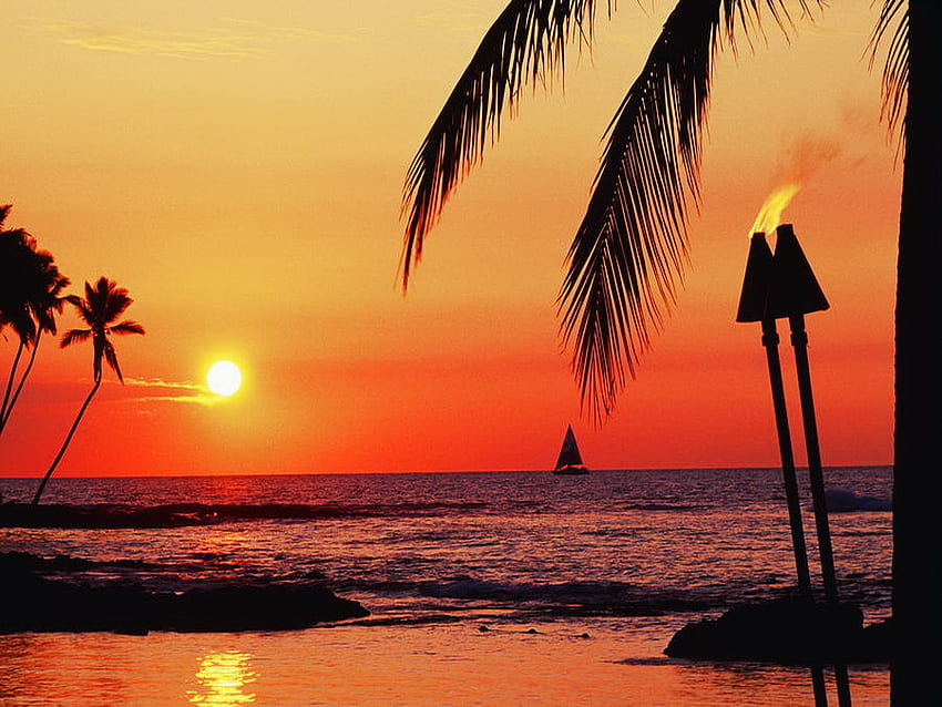 Tramonto arancione, barca, spiaggia, riflesso, sabbia, luminoso, acqua, sole, oceano, tramonto, palme, mare, cielo arancione, arancione, giorno luminoso, rosso, natura, cielo Sfondo HD