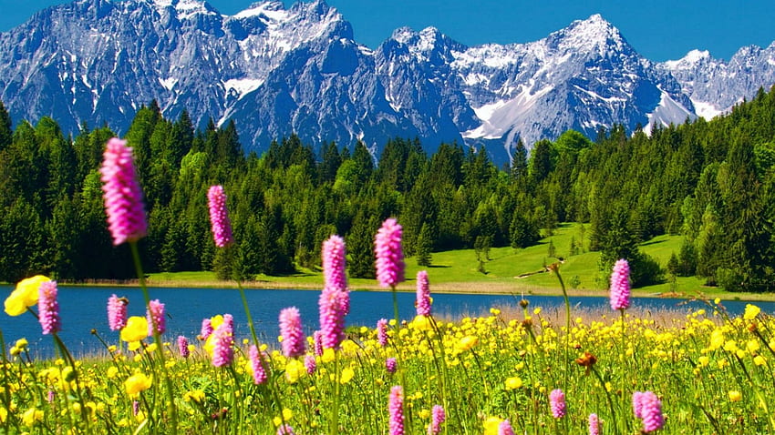Flowers On The Mountain Blue Lake, trees, wildflowers, meadow, mountains, sky HD wallpaper