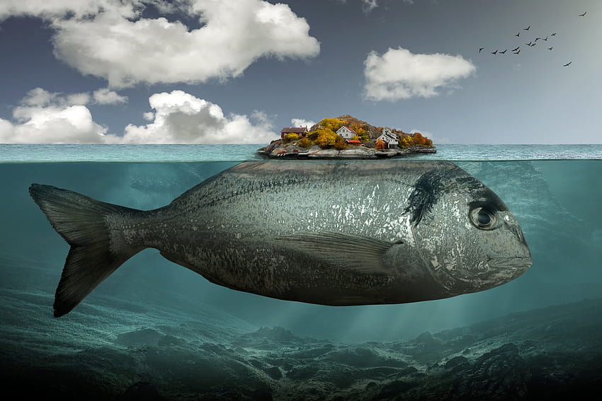 Gray fish illustration, artwork, digital art, surreal, underwater HD wallpaper