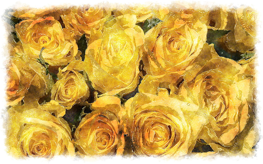 yellow roses bouquet watercolor HD wallpaper