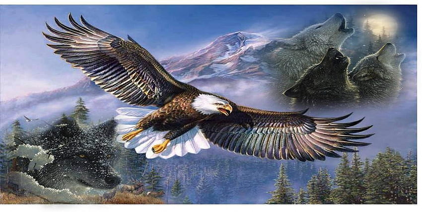 where eagles fly, wolves, deer, flying, pines, wolf, eagles HD wallpaper