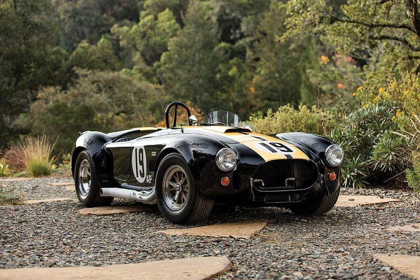1965 Ford Shelby Cobra, 1965, voiture, rue, arbres, Shelby, route, Cobra, Ford Fond d'écran HD