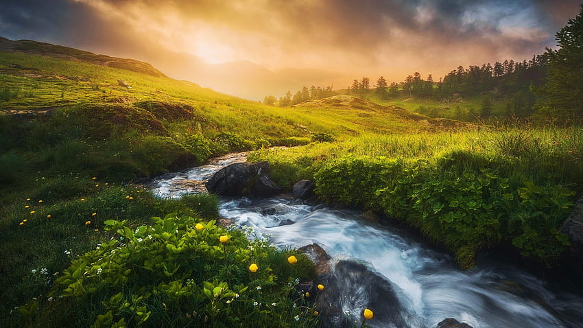Morning at the stream, hills, landscape, trees, flowers, meadow, water, sunrise HD wallpaper