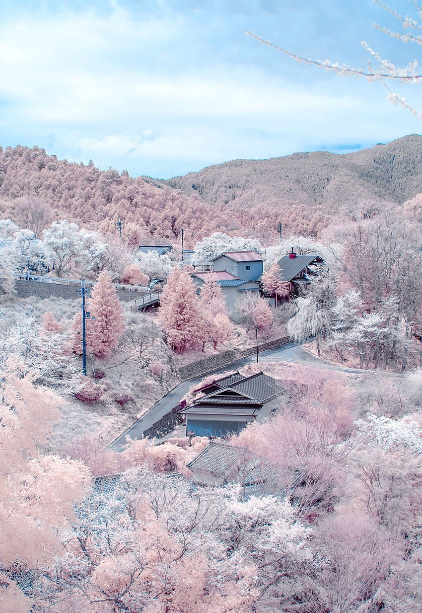 요시노, 나라, 일본 - 30,000그루의 벚나무가 산을 뒤덮고 있습니다. 風景, 旅行, 景色 HD 전화 배경 화면