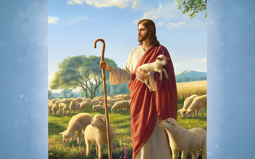 Jesus - Good Shepherd, Christ, Shepherd, sheep, Jesus, God HD wallpaper |  Pxfuel