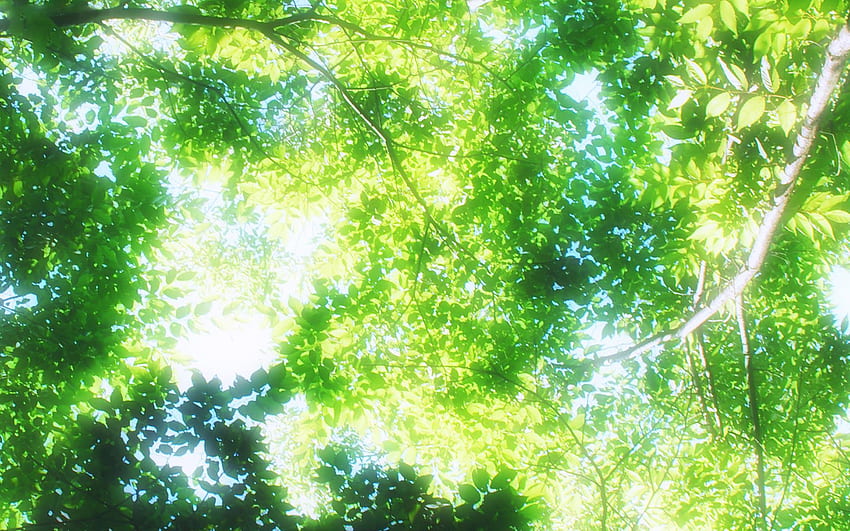 Anime Scenery ., Green Anime Scenery HD wallpaper