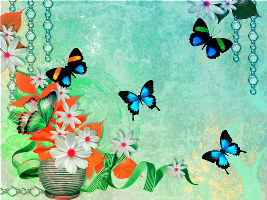 예쁜 나비, 여름과 나비, 사랑은 나비처럼, 아름다운 나비, 예쁜 것들 HD 월페이퍼