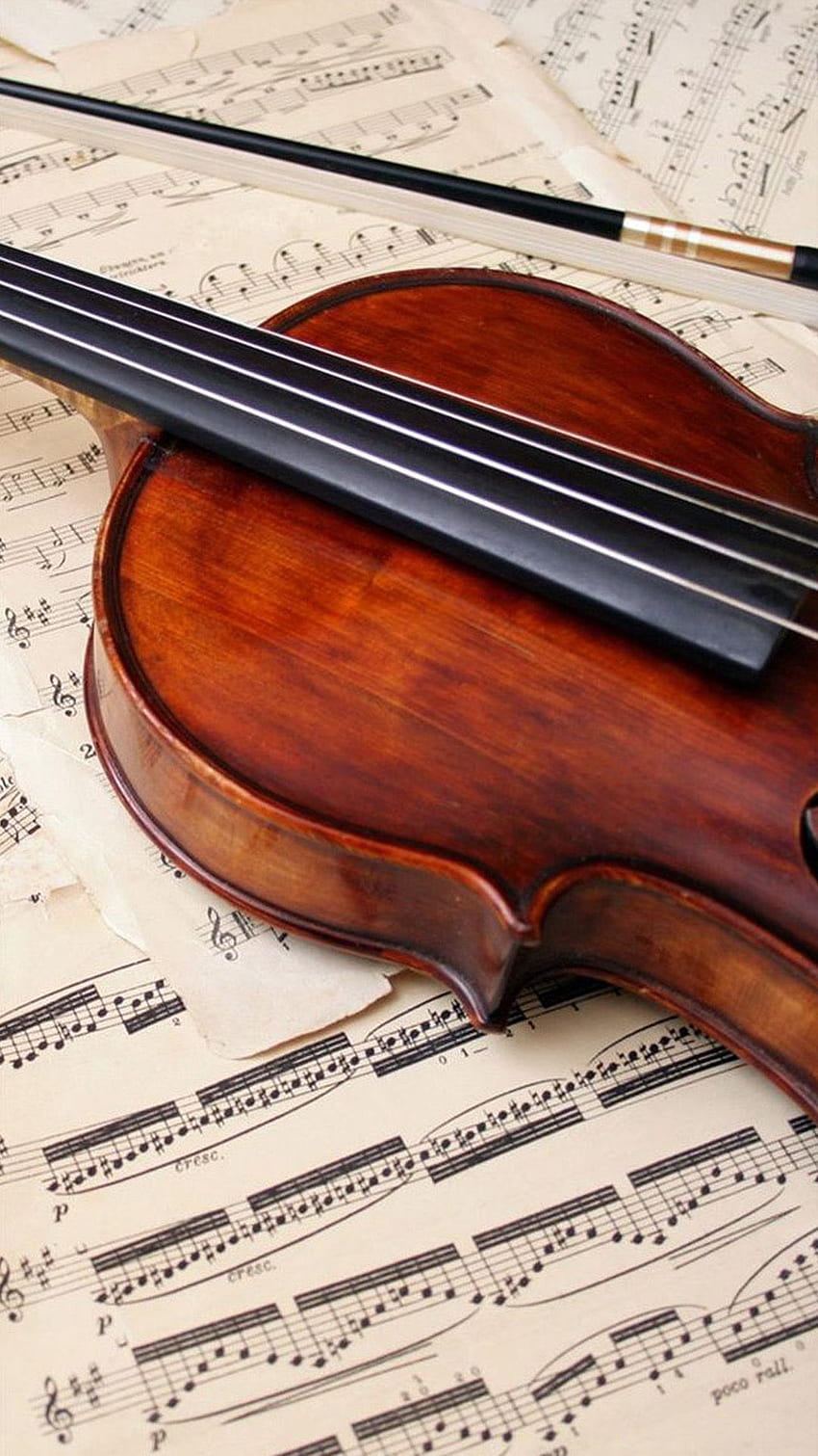 Violin And Music Notes - & Background, Classical Music HD phone wallpaper