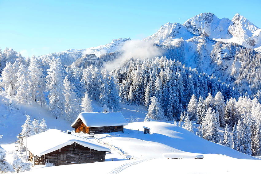 Kış manzarası, kış, kar, görünüm, ağaçlar, güzel, orman, evler, dağ, frost HD duvar kağıdı