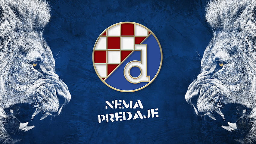 GNK Dinamo Zagreb 2560×1440 HD duvar kağıdı