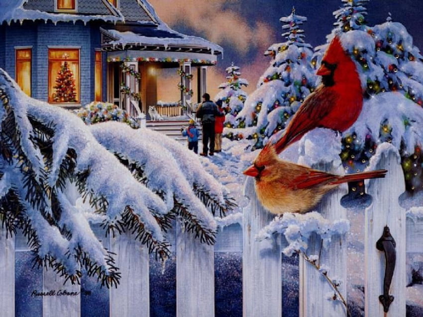 pájaros de invierno, navidad fondo de pantalla