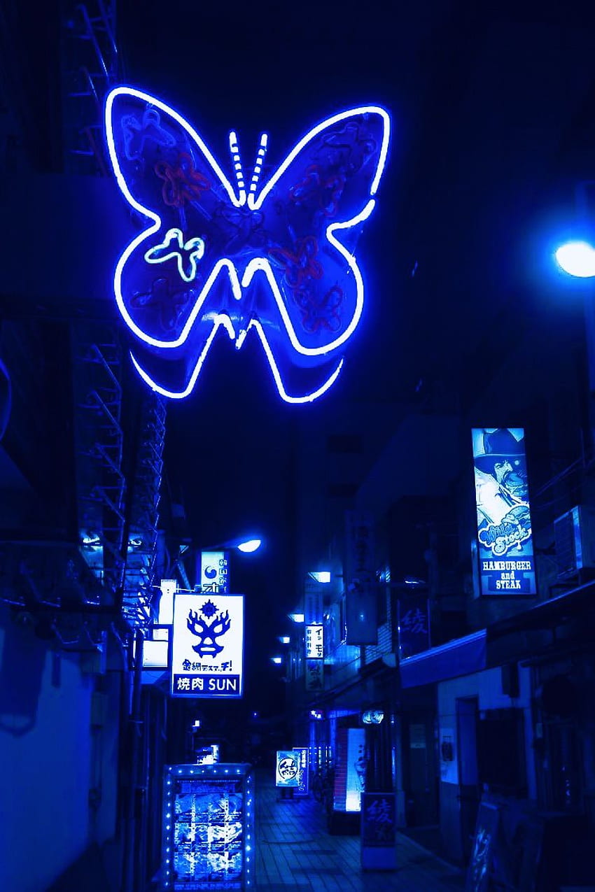 파란 나비. Cute blue , Blue aesthetic tumblr, Dark blue, Blue Neon Butterfly HD 전화 배경 화면