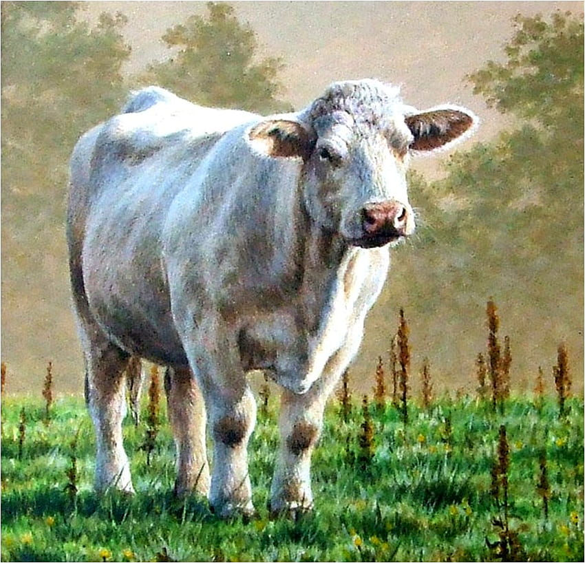 Krowa, zwierzę, malarstwo, sztuka, trawa Tapeta HD