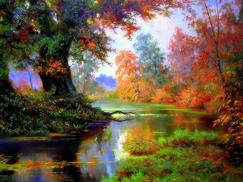 ★森の秋★、カラフル、色、景色、明るい、木々、秋、秋の季節、素晴らしい、最もエド、夢の中のアトラクション、森、絵画、美しい、季節、創造的な既製、四季の愛、葉、 自然 高画質の壁紙