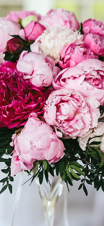 Page 2 | peony flower bouquet HD wallpapers | Pxfuel