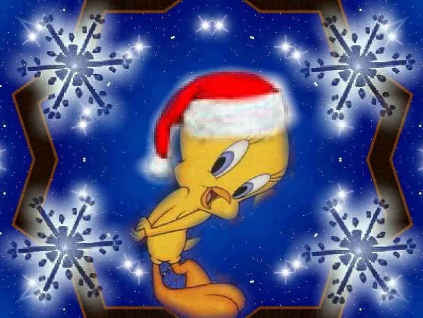 TWEETYS CHRISTMAS CARD, , tweety, pássaro, natal papel de parede HD