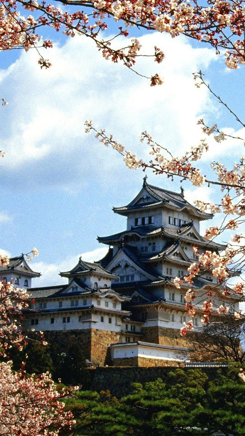 Japan nature cherry blossoms buildings castle himeji, Japanese Nature HD phone wallpaper