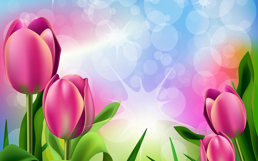 Tulips, blue, bokeh, tulip, spring, pink, flower, green, vector, card HD wallpaper