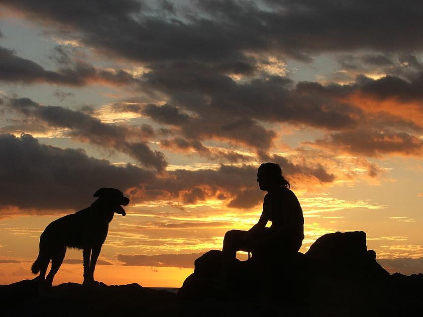 Sun Sets On Best Friends, dog, person, clouds, sky, friends, sunset HD wallpaper