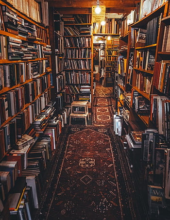 An Old Library Or Book Room With Some Books And Plants Background  Bookshelves And Books Antique Image Material Picture Hd Photography Photo  Bookcase Background Image And Wallpaper for Free Download