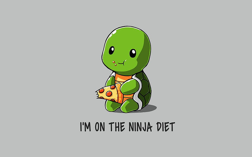 Funny Ninja On Diet Resolution , , Background, and, 1680X1050 Funny HD wallpaper