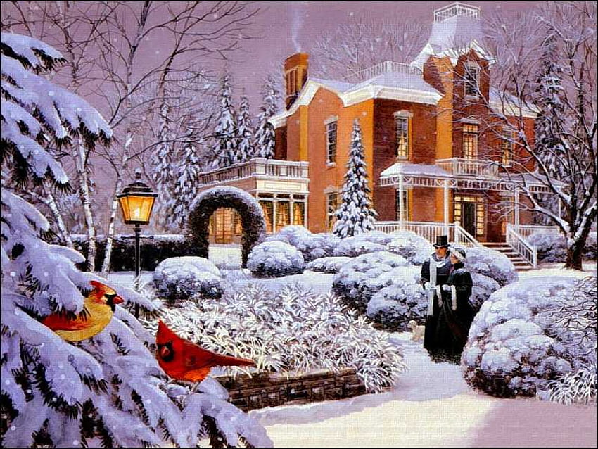 The Big House At The End Of The Lane, winter, bushes, beautiful, people, pines, snow, mansion, cardinals, historic HD wallpaper