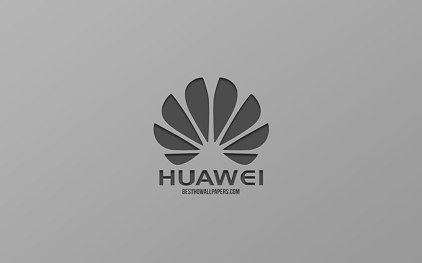 Logo Huawei, latar belakang abu-abu, kreatif, Huawei PC Wallpaper HD