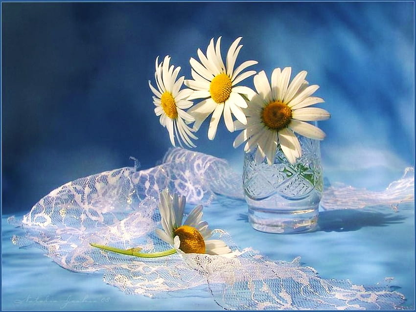 'For you Mom', yellow and white, four, blue background, glass, lace, daisies HD wallpaper
