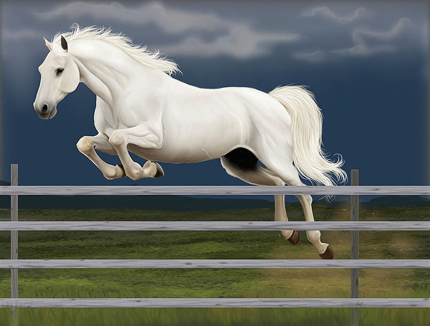 horse Corral White Jump Fence Animales Pintura, Caballos saltando fondo de pantalla