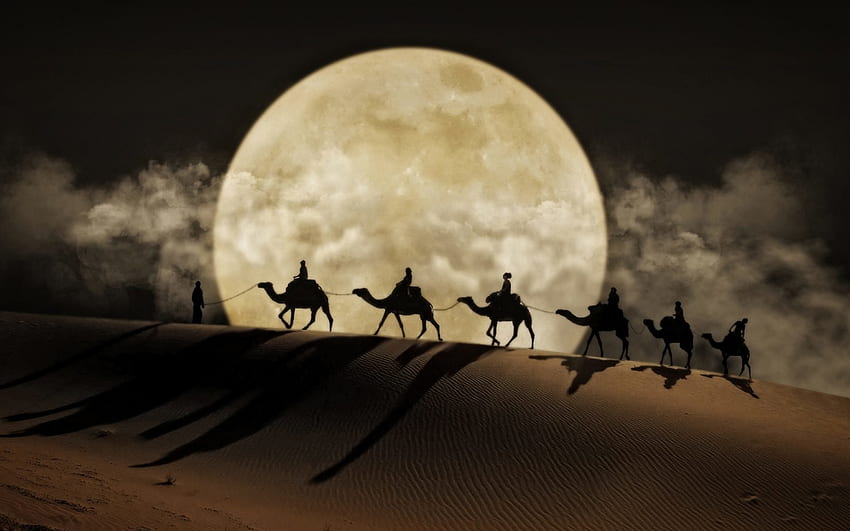 月明かり、夜、砂、砂丘、夏、月、光、ルナ、砂漠、カルバナ、シルエット 高画質の壁紙
