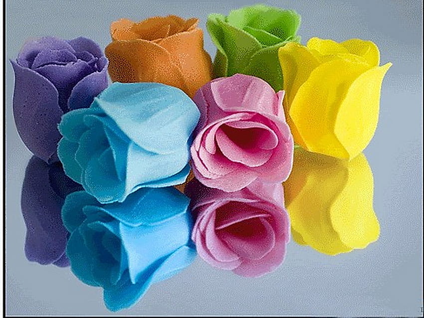 Colors, blue, pink, yellow, green, mauve, orange, rose tips HD wallpaper