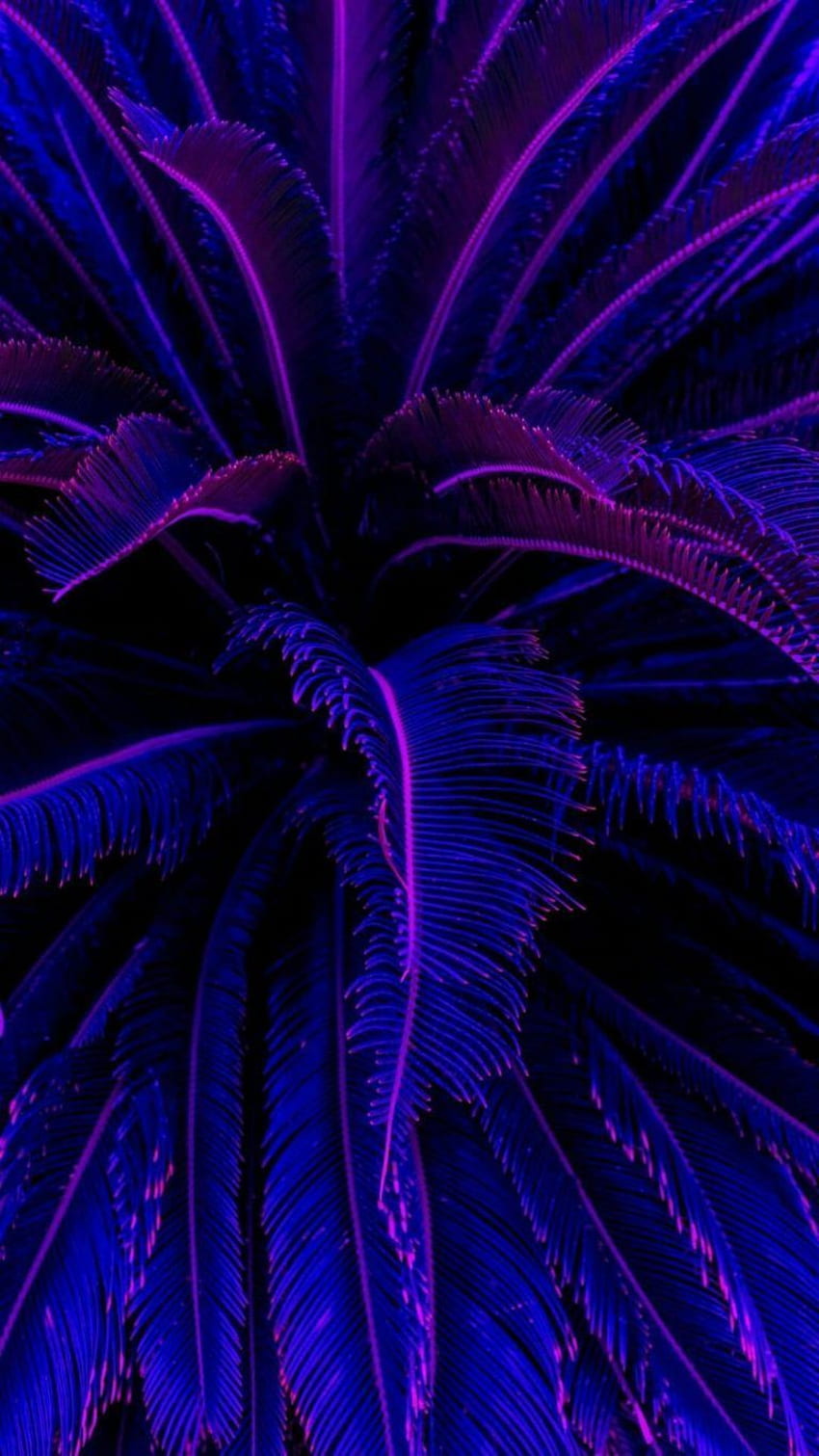 azul, morado, azul eléctrico, violeta, arte fractal, planta, iphone. Negro y azul, Iphone azul, Estética púrpura oscuro fondo de pantalla del teléfono