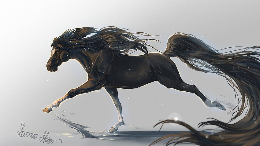 horse, hooves, , , mane, galloping, black, white background, art, , OS HD wallpaper