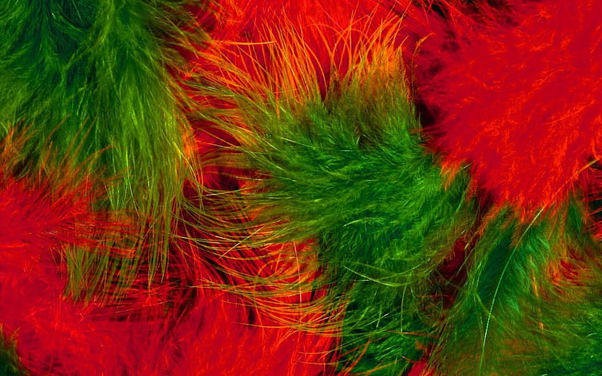 Feathers, feather, green, red, texture, fluffy HD wallpaper
