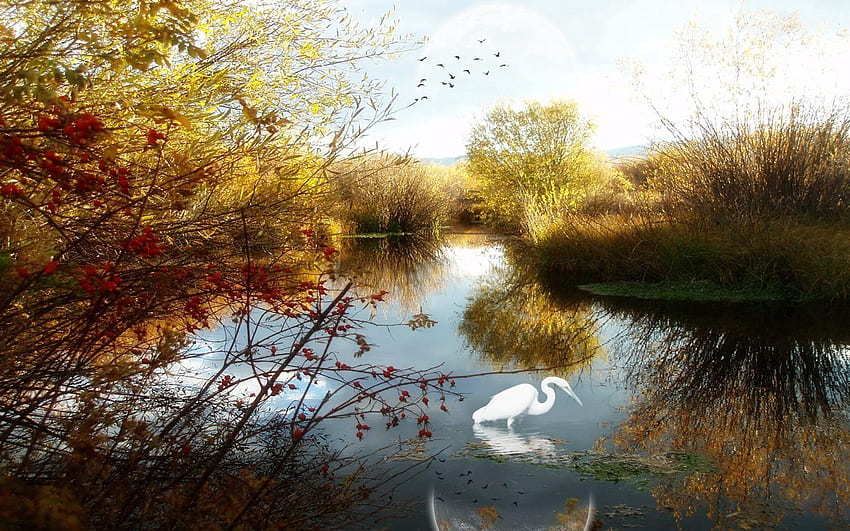 Nature, Birds, Trees, Lake, Crane, Ghost HD wallpaper