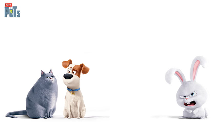 La vida secreta de las mascotas Snowball y Max Chloe fondo de pantalla