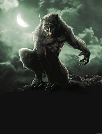 The Creature Features Curly Hair And It Looks Sad Background, Pictures Of  The Wolfman, Picture Material, Background Picture Background Image And  Wallpaper for Free Download