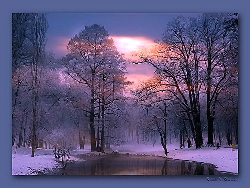 ความเงียบสงบ ฤดูหนาว หิมะ ต้นไม้ ท้องฟ้าสีชมพู ป่า ตอนเย็น สระน้ำ วอลล์เปเปอร์ HD