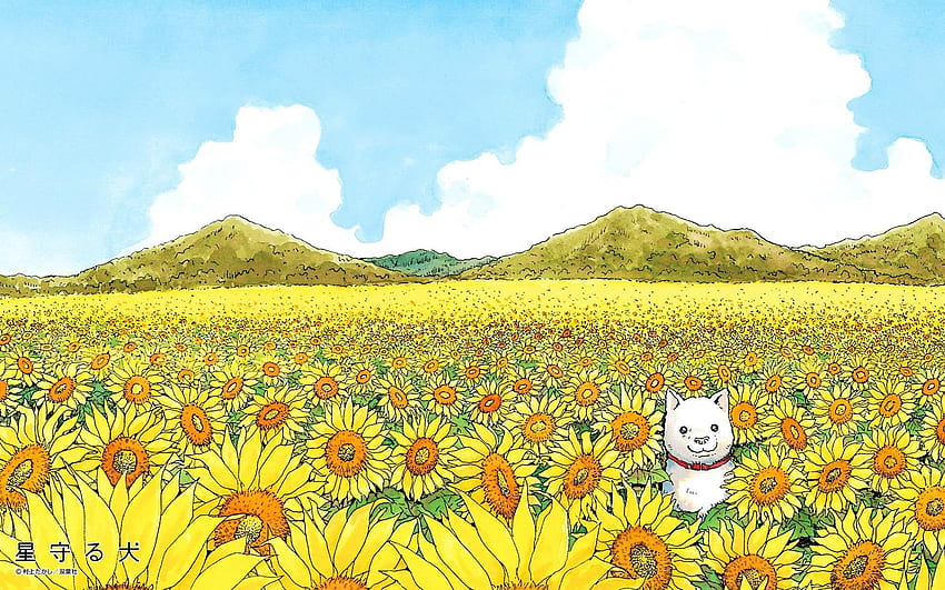 A dog in a field of flowers. One of the less abstract but still vibrant works of Takashi Murakami () : HD wallpaper