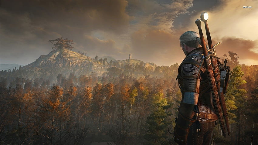 880 The Witcher 3 Wild Hunt HD Wallpapers and Backgrounds