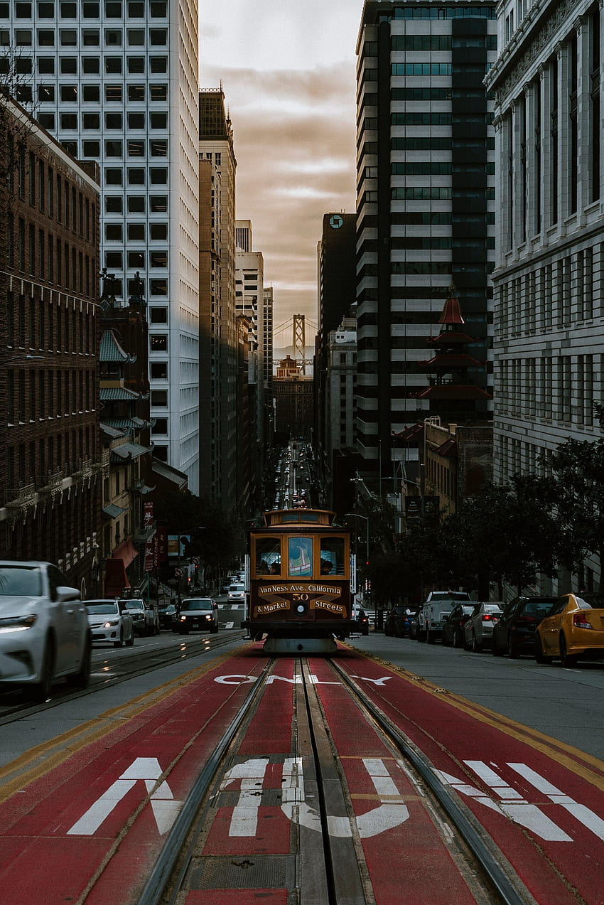 Transport, Cities, City, Movement, Traffic, Street, Tram HD phone wallpaper