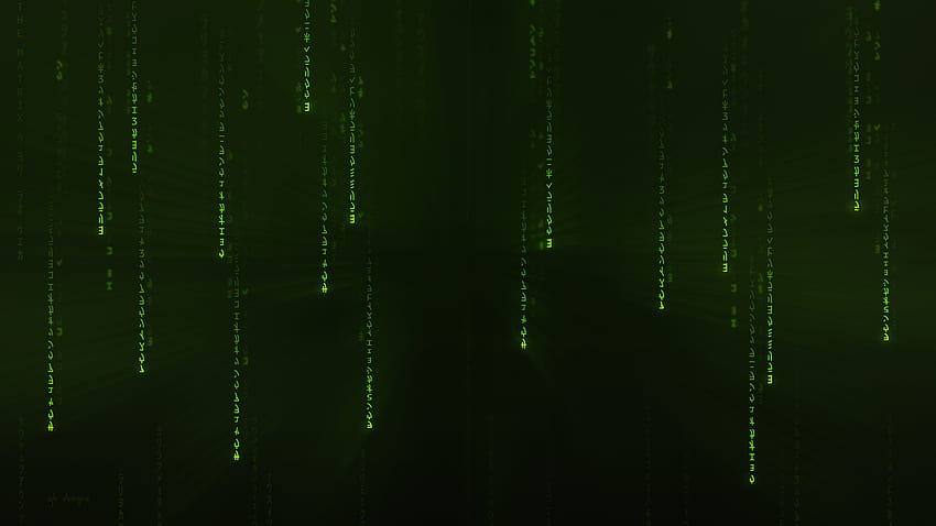 Coding characters, The Matrix, minimal HD wallpaper