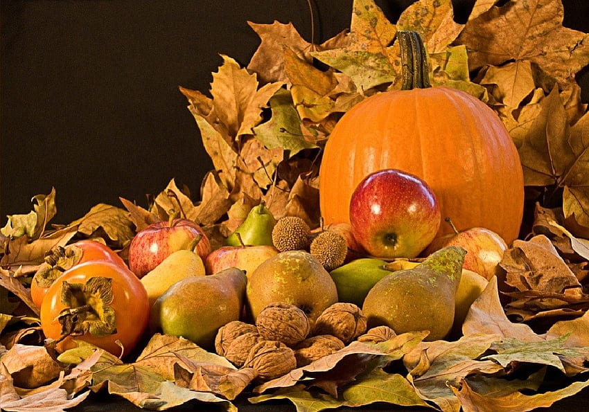 Herbsternte, Stillleben, abstrakt, Grafik, Ernte, Herbstlaub HD-Hintergrundbild