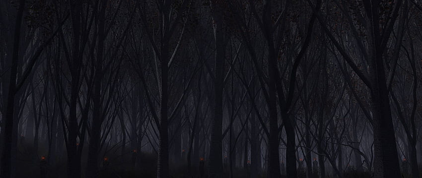 Preview forest, trees, background, dark HD wallpaper