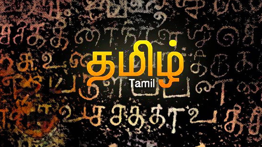 Formal Vs Informal Speech, Tamil Letter HD wallpaper