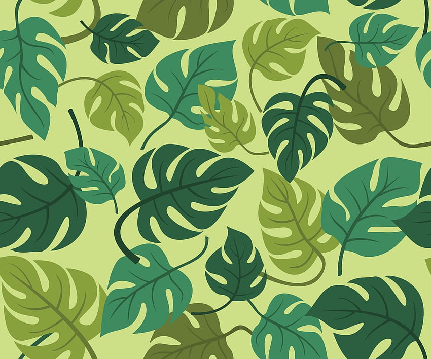 Patrón sin costuras de hojas de Monstera para el de plantas tropicales. - Vectores, Clipart Graficos y Arte Vectorial, Hoja Monstera fondo de pantalla