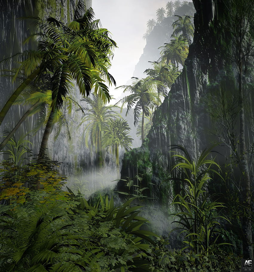 Tropical Forest View. DAZ 3D Gallery. 3D Models and 3D Software, Jungle  Rain HD phone wallpaper | Pxfuel