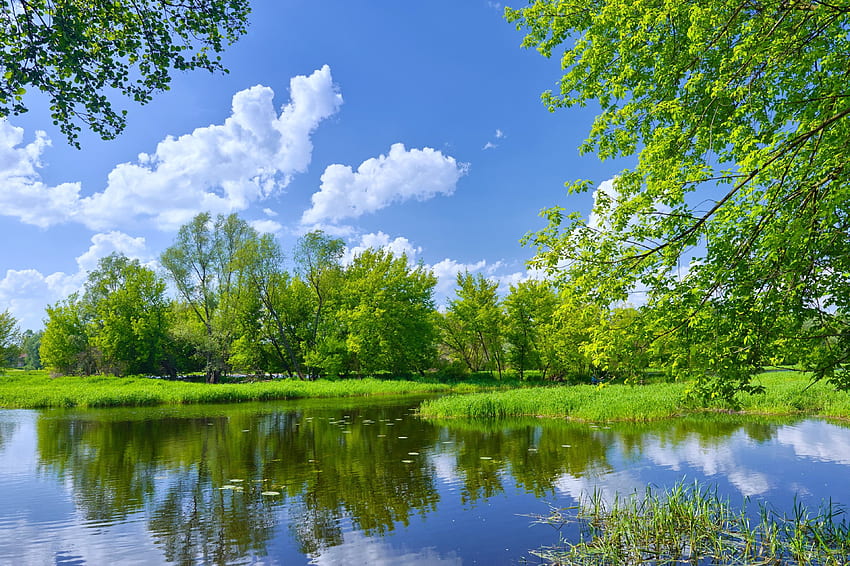 호수: 자연 풍경 나무 맑은 호수 봄 풍경 HD 월페이퍼