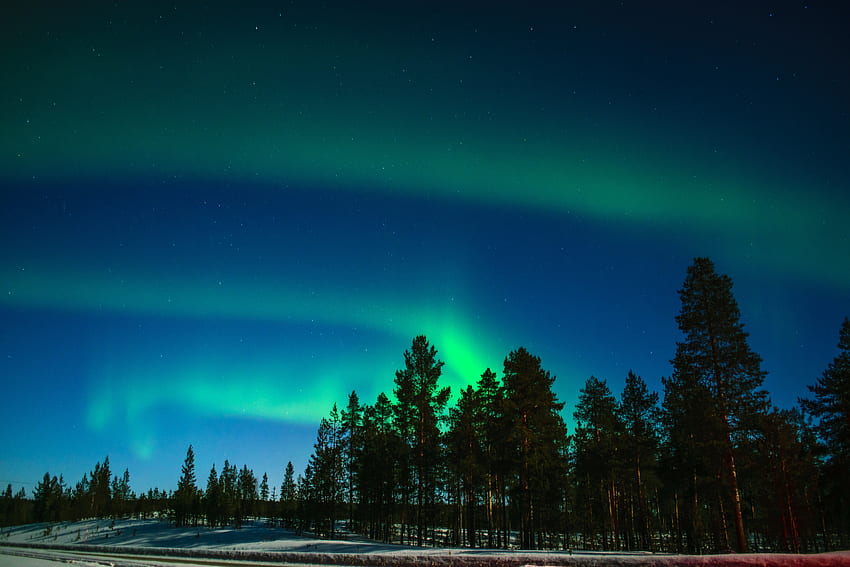 Bäume, Dunkelheit, Nordlichter, Aurora Borealis, Aurora, Phänomen des Lichts, Lappland HD-Hintergrundbild